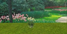V&H summer flower Thistel mod copy