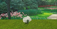 V&H summer flower Margaritas mod copy