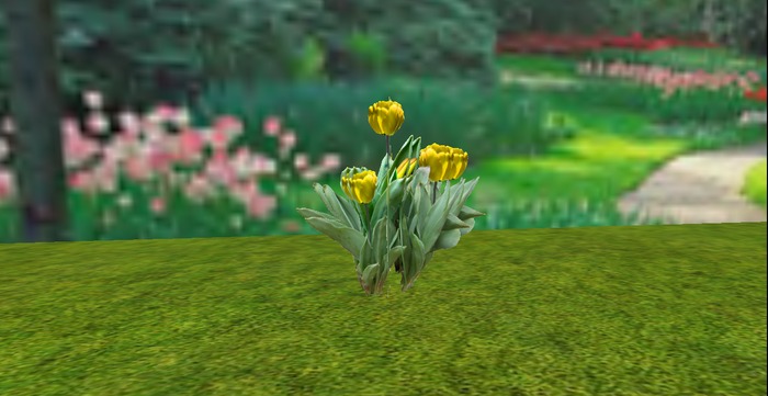 V&H Spring flowers Yellow Tulips