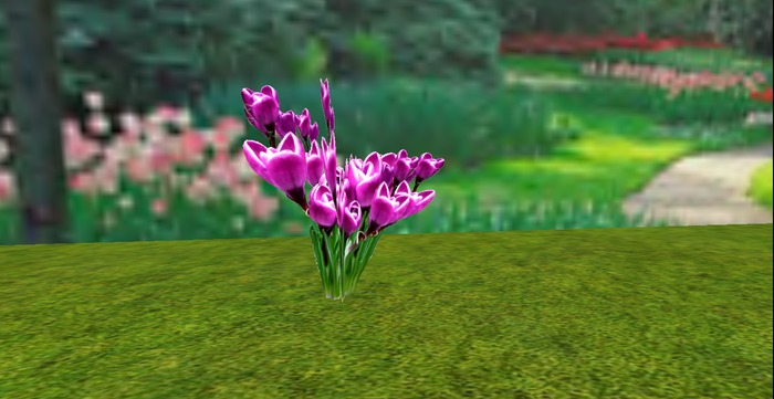 V&H Spring flowers Light purple snow crocus