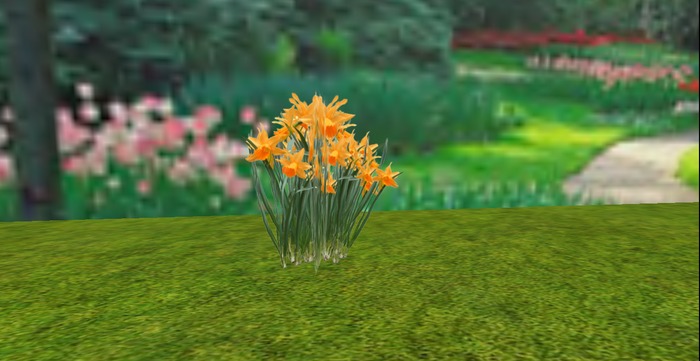 V&H Spring flowers Dark yellow daffolils
