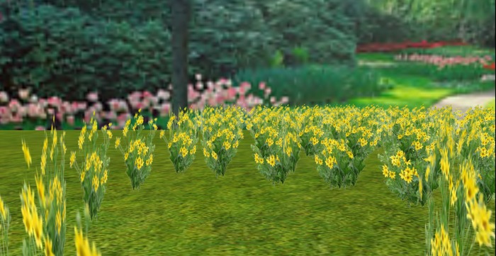 V&H Yellow Daisy  summer flower garden copy
