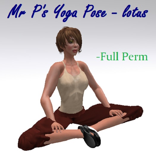 "Yoga Pose - balencing stick"