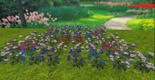 MW 1 prim plant rezzer  Mixed colour  rose bush