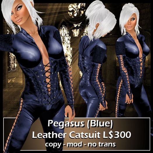 XTC Pegasus Leather Catsuit (Blue)