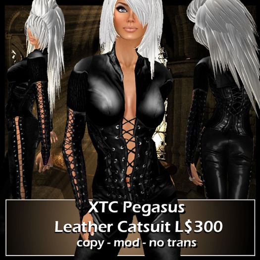 XTC Pegasus Leather Catsuit