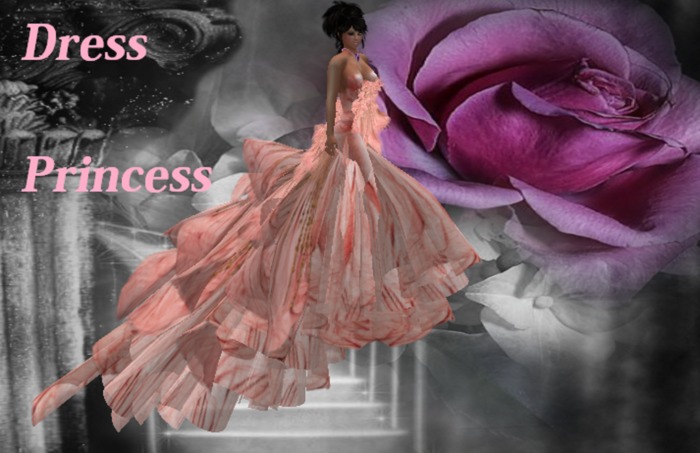 DRESS PRINCESS