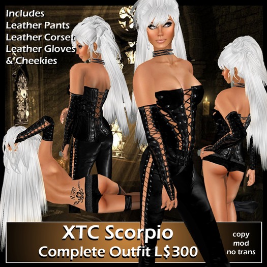 XTC Scorpio Leather Outfit