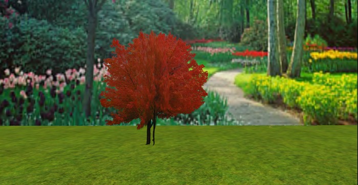 V&H Maple tree mod copy