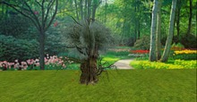 V&H Spooky tree  halloween 2 mod copy