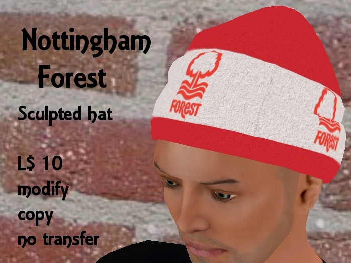 Nottingham Forest FC Wooly Hat