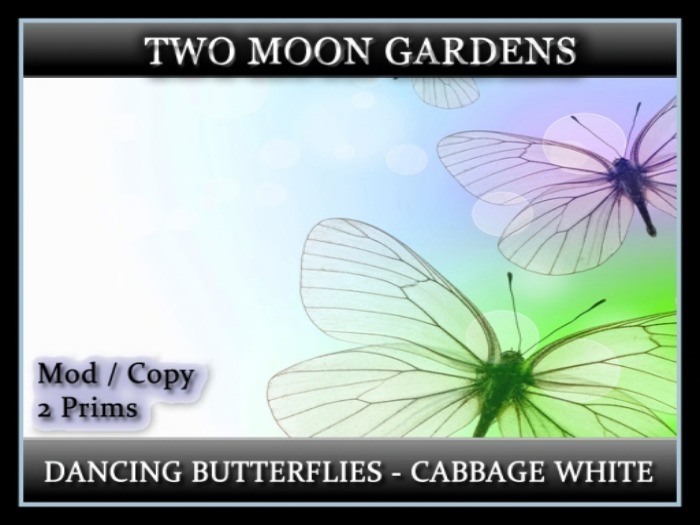  Butterflies|White