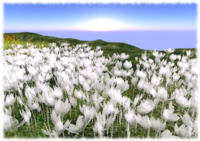 art tulips *otm* blue
