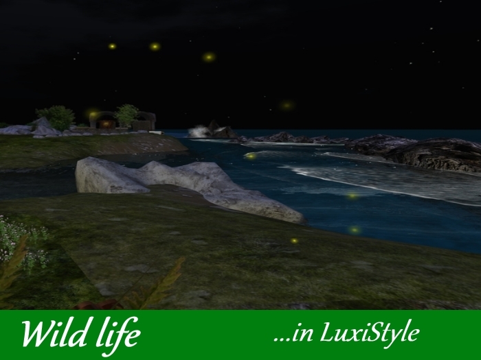 Firefly - glow-worm - Fairy Lights  - copy