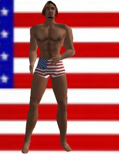 USA Men's Swimming Trunks