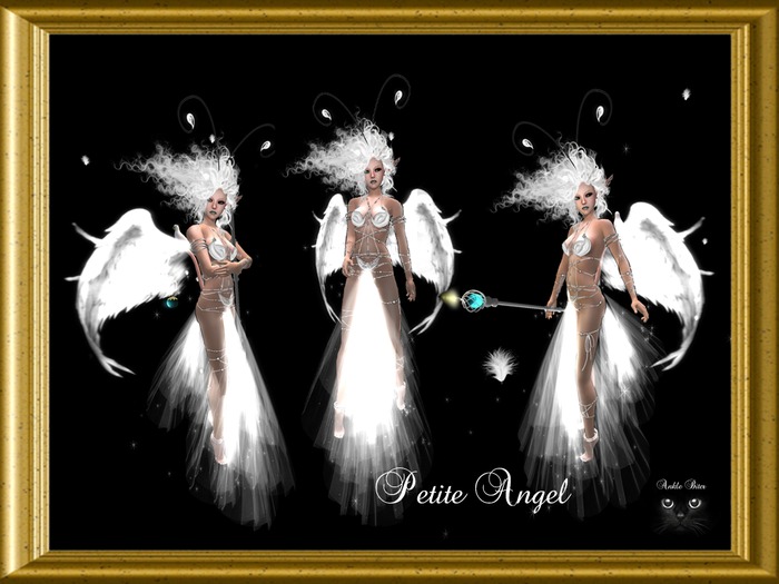 Petite Angel  V  Relay for Life vendor