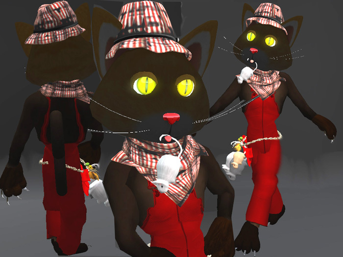 MY PET CAT AVATAR