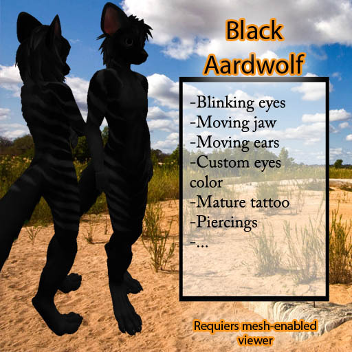 Furry Aardwolf - 