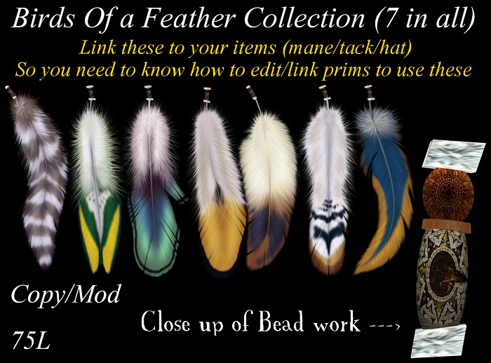 (DD&DE) BirdsOfAFeather Set
