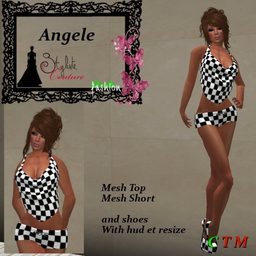 Angele Dam NB