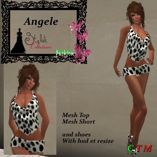 Angele Dalmatien