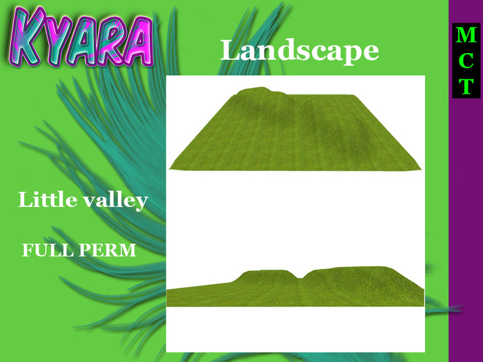 LANDSCAPE LITTLE VALLEY 01