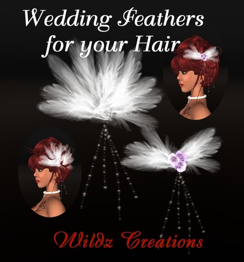 ~WC~ Wedding Feathers