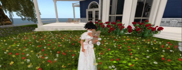 holding teddybear boxed