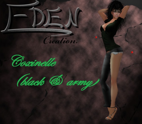 coxinelle(darkgrey&army)