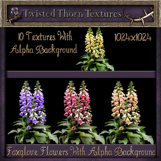 ~TTT~ Nighty's Pretty Pansies Set 1