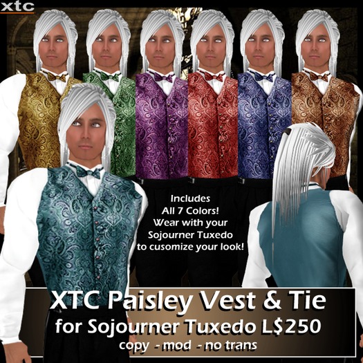 XTC Paisley Vest and Tie Set