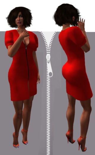 RED Zippered Mesh Dresses