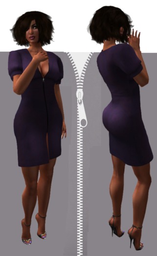 Purple Zippered Mesh Dresses bagged