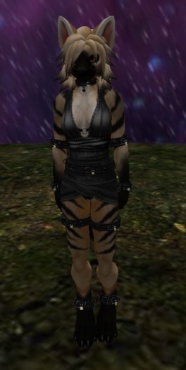 Ivy's DSD Aardwolf SHAPE ONLY