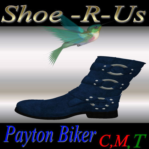 Payton Biker Blue
