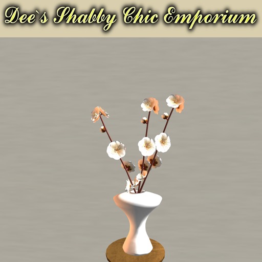 Japanese Apricot Flower