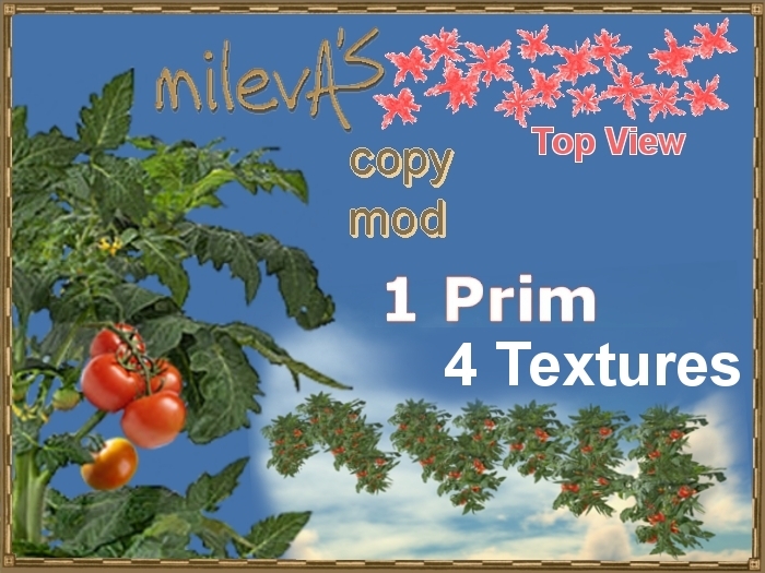 milevA's 1-Prim Multi 16 Rectangle 4 Tomato Red