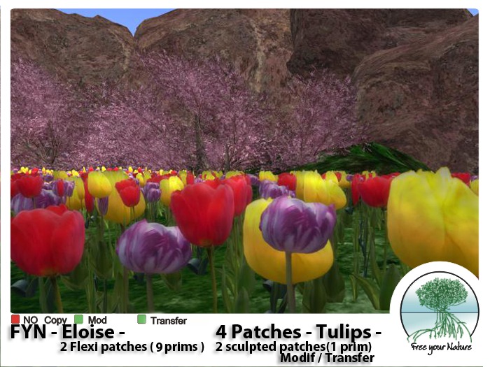 FYN  - Eloise -  Tulips