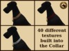 Vkc black great dane marketplace advert 06