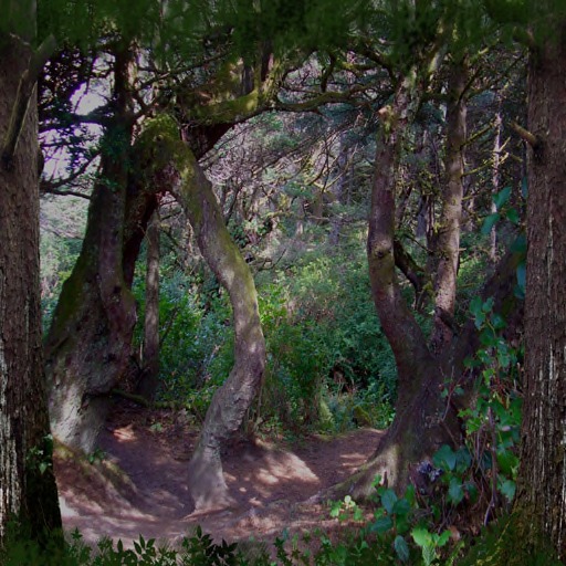 Enchanted Forest Privacy Screen 6
