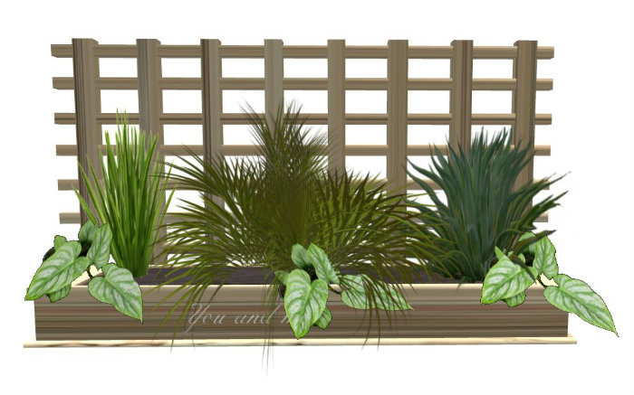 TROPICAL PLANTER 