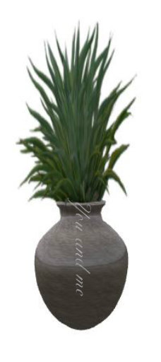 ELGIN MARBLES IN A ROW