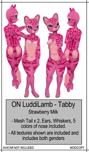 [CAEK!] - ON LuddiLamb - Cotton CandyTabby