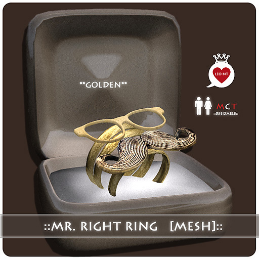 ::LEO-NT:: Mr.Right! -Ring [golden]