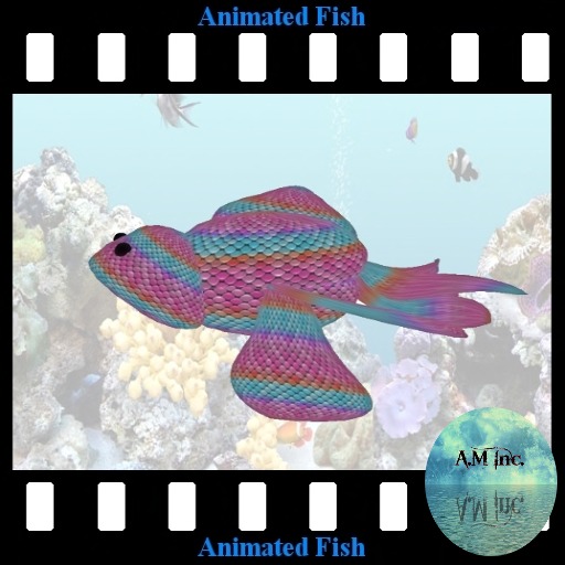 A.M. Oasis Rainbow Fish 3