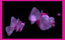 Wingsong 7Seas Critter - Passion Fish Box
