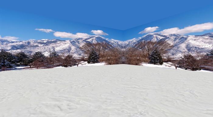 VistasCube Long Splendor 1 Crate