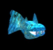 Wingsong 7Seas Critter - Blue Fish Box