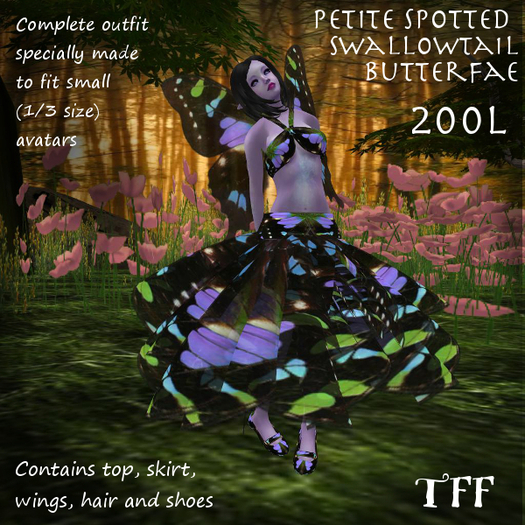 Petite Swallowtail Butterfae