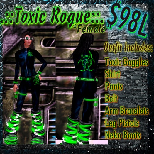 .::FS::. Toxic Rogue female